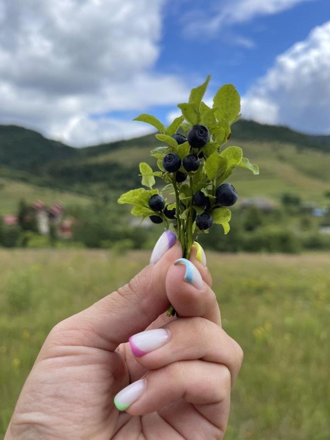 Шервуд Διαμέρισμα Myta Εξωτερικό φωτογραφία